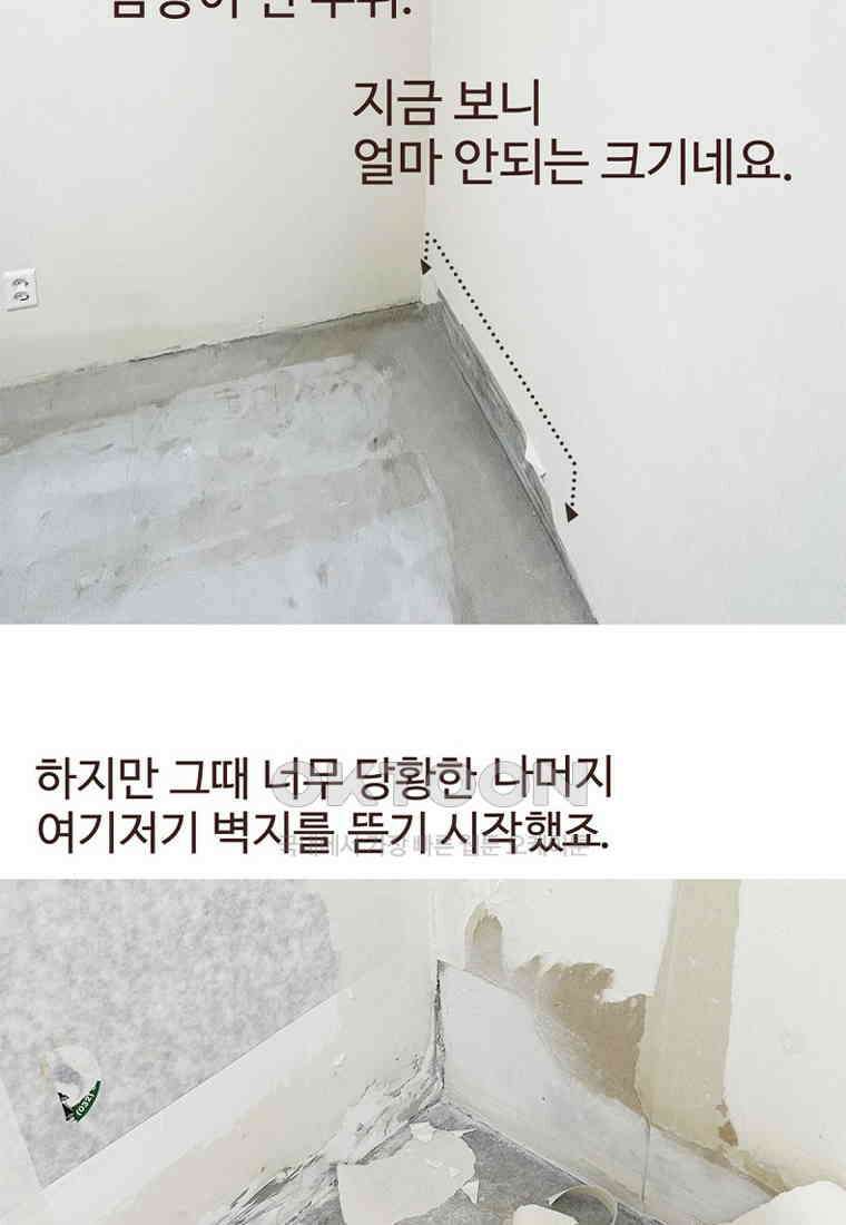 유부녀의 탄생 7_21화 셀프도배① 112