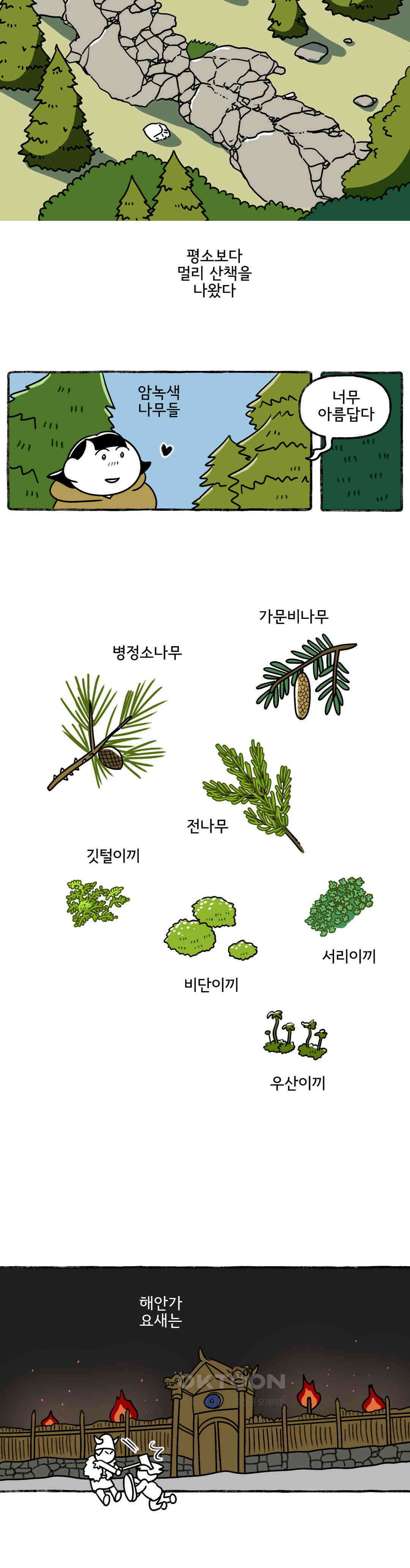 몸만 원해 금쪽같은 12