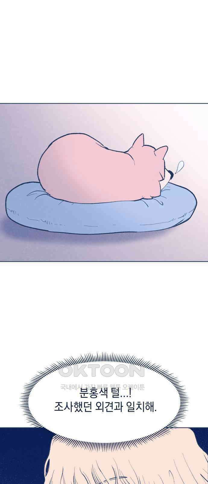 반려짐승 42화 7