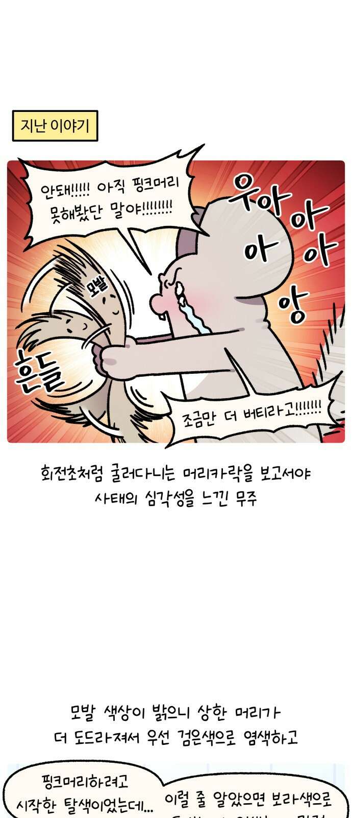 안녕, 나의 수집 164. 공주 빗 (3) 1