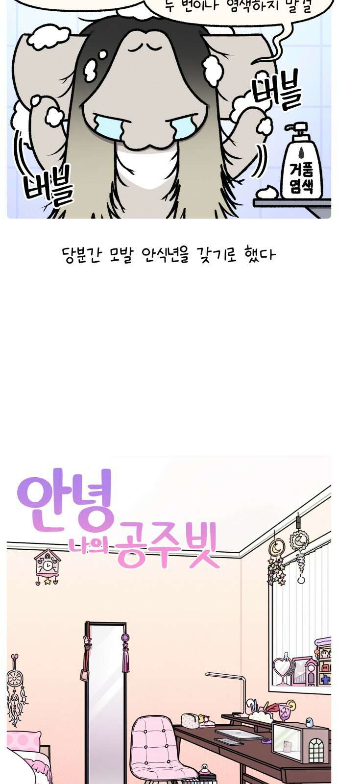 안녕, 나의 수집 164. 공주 빗 (3) 2
