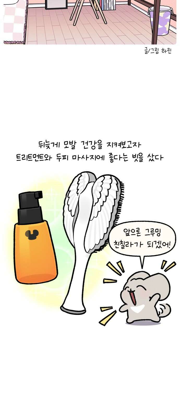 안녕, 나의 수집 164. 공주 빗 (3) 3