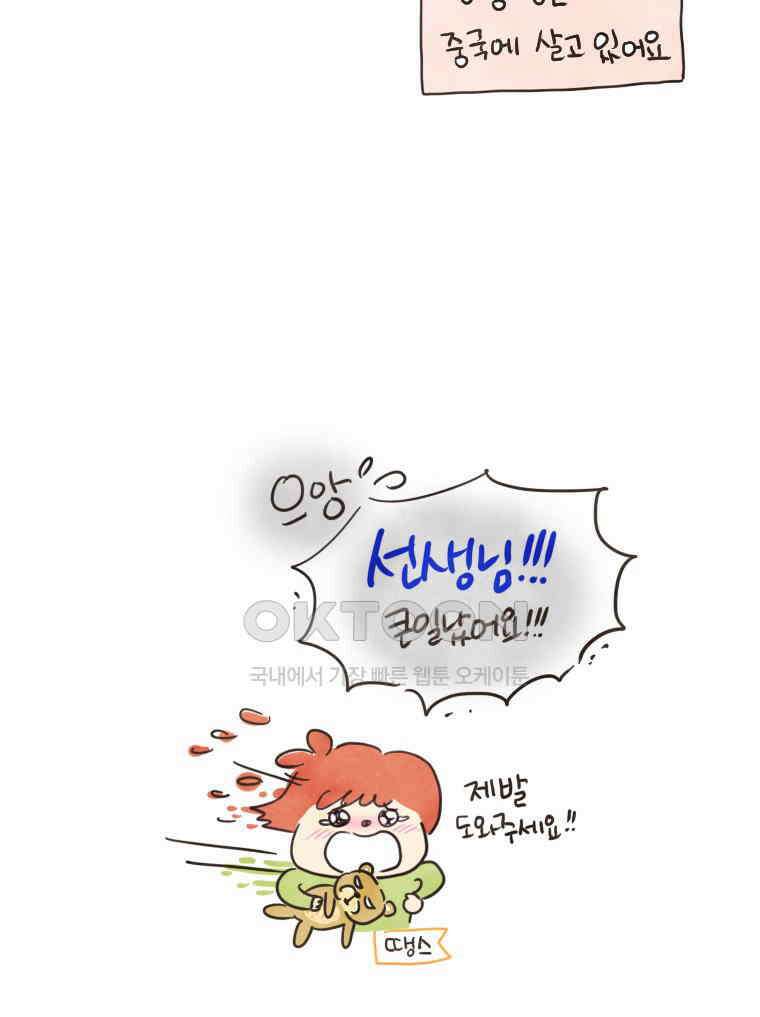 딩스뚱스 [중국] 시즌7 예고 3