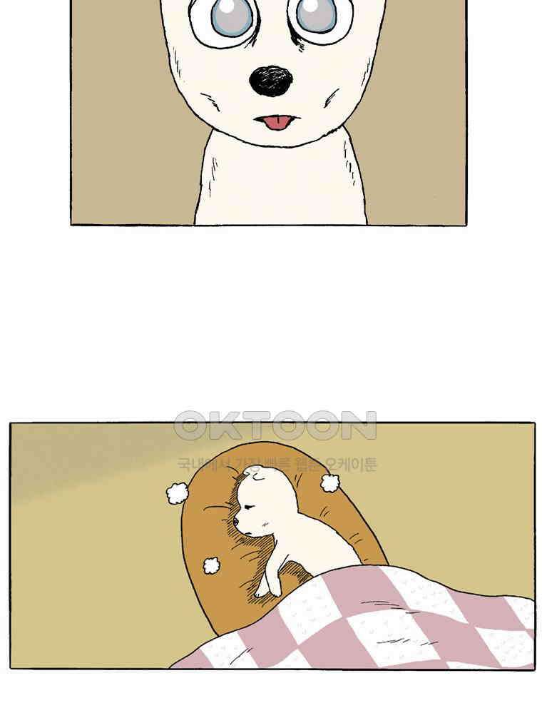 19년 뽀삐 49화． 열아홉 2