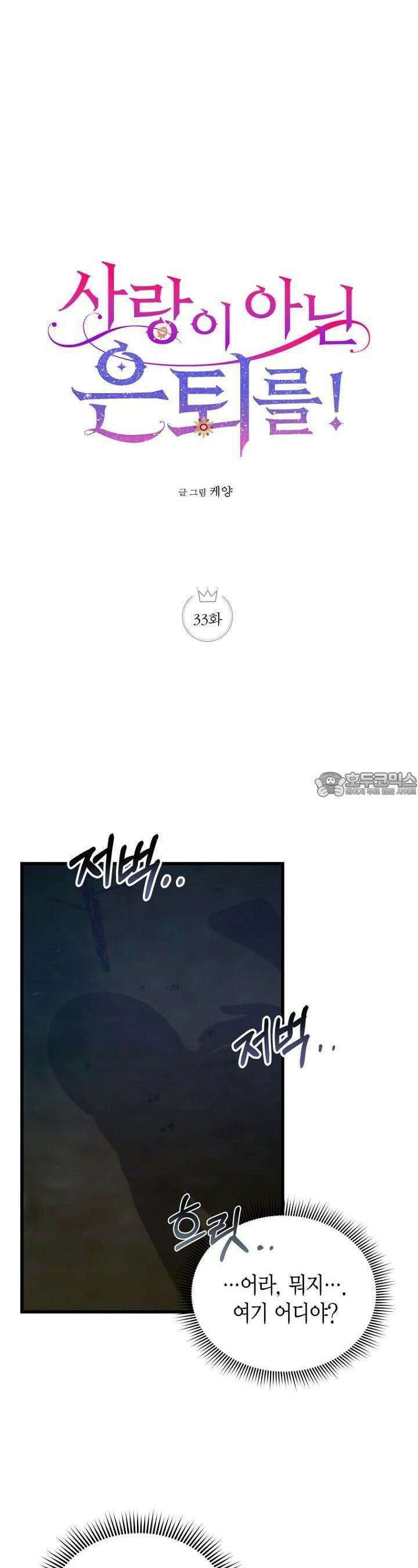 사랑이 아닌 은퇴를 33화 11