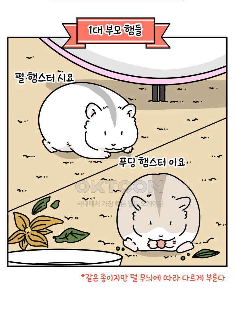 어쩌다 햄스터 34． 언니의 햄스터들 2