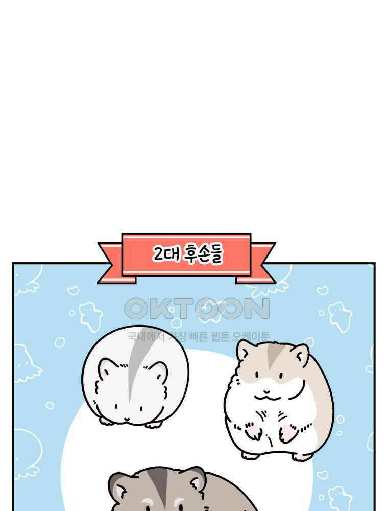 어쩌다 햄스터 34． 언니의 햄스터들 3