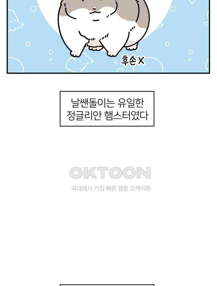 어쩌다 햄스터 34． 언니의 햄스터들 4