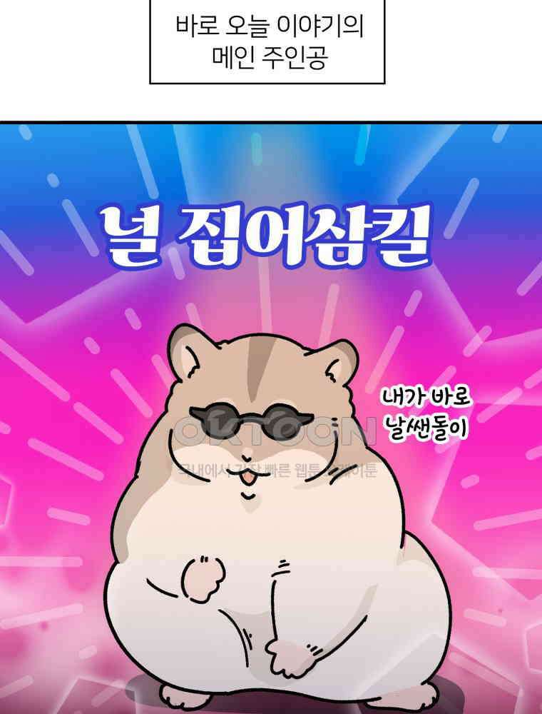어쩌다 햄스터 34． 언니의 햄스터들 5