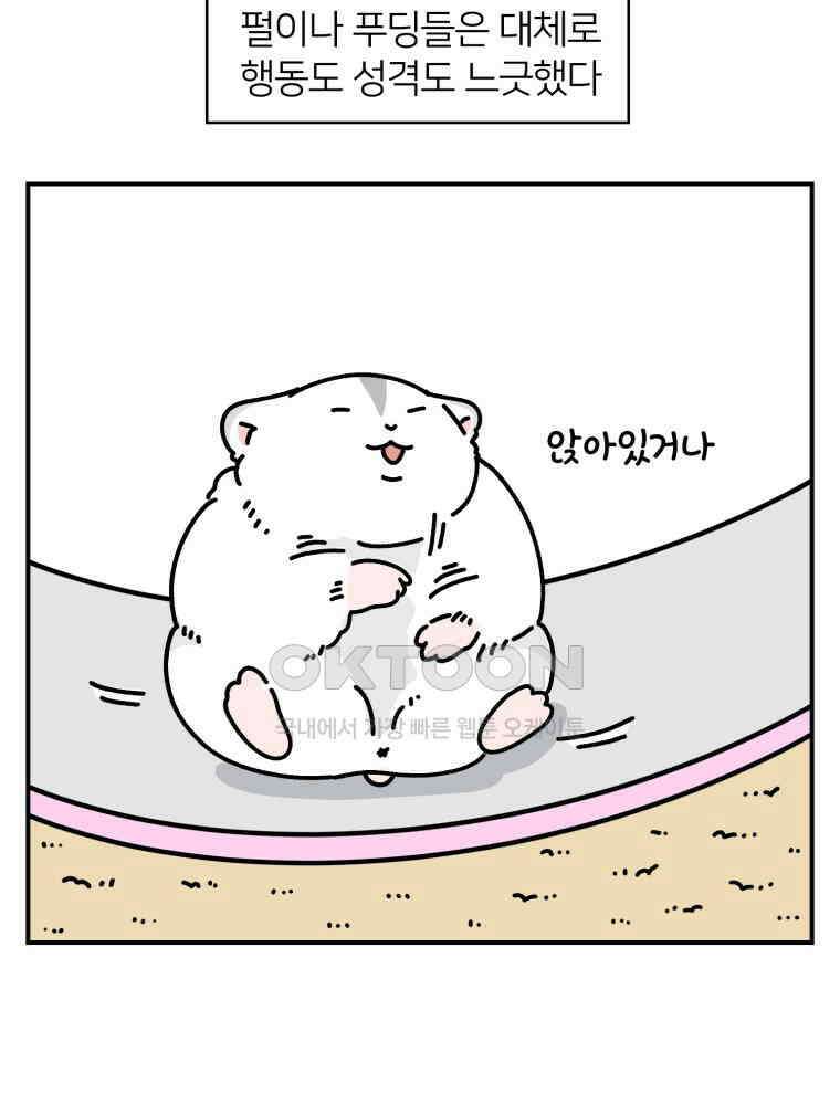 어쩌다 햄스터 34． 언니의 햄스터들 8