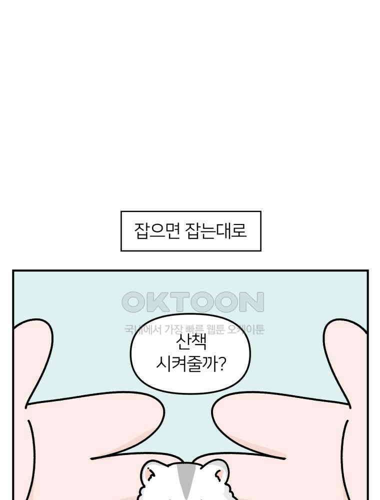 어쩌다 햄스터 34． 언니의 햄스터들 11