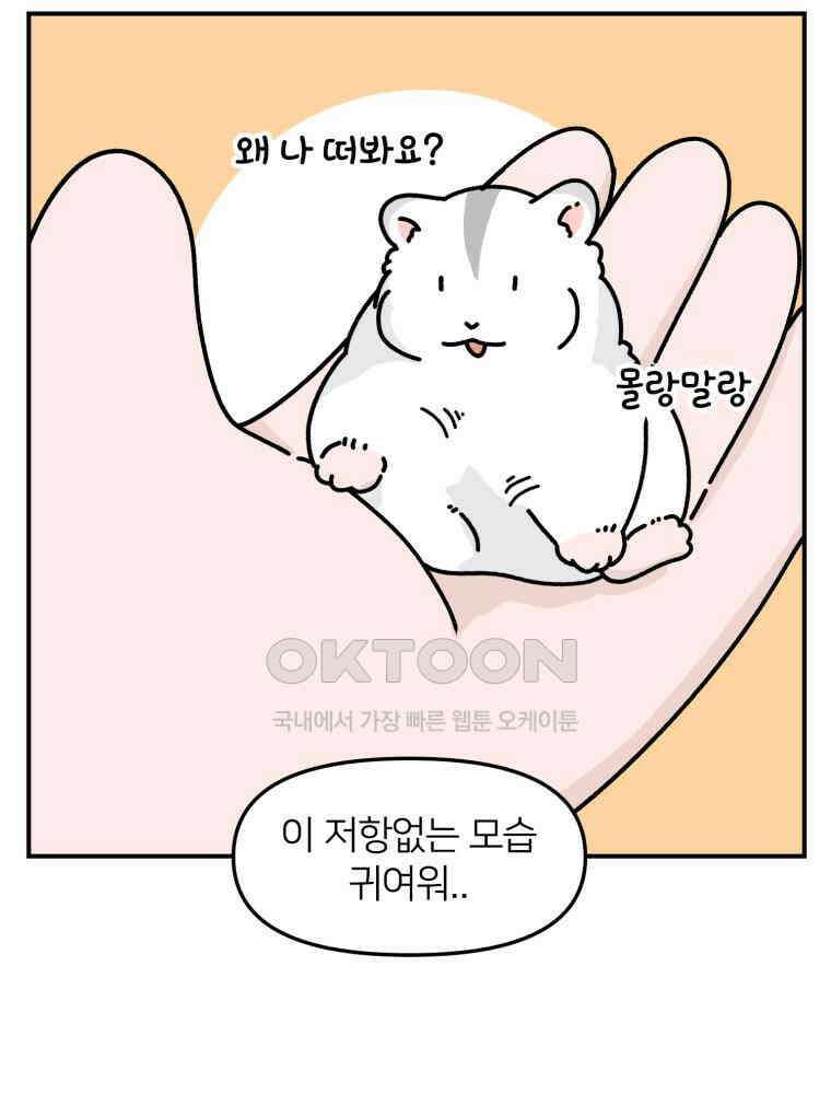 어쩌다 햄스터 34． 언니의 햄스터들 13