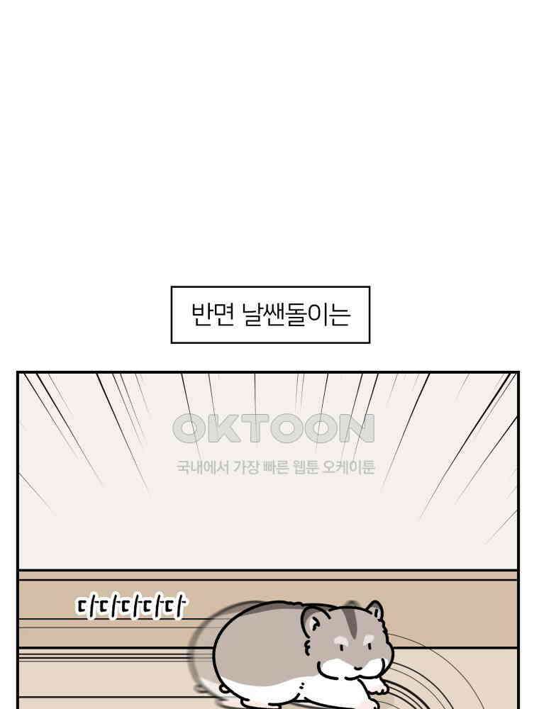 어쩌다 햄스터 34． 언니의 햄스터들 14