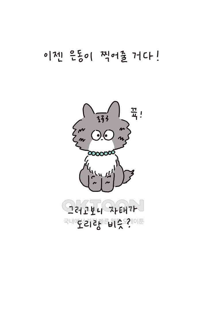 은동스+옹동스 은동은동 은동구리 163화． 막내의 혜택 8