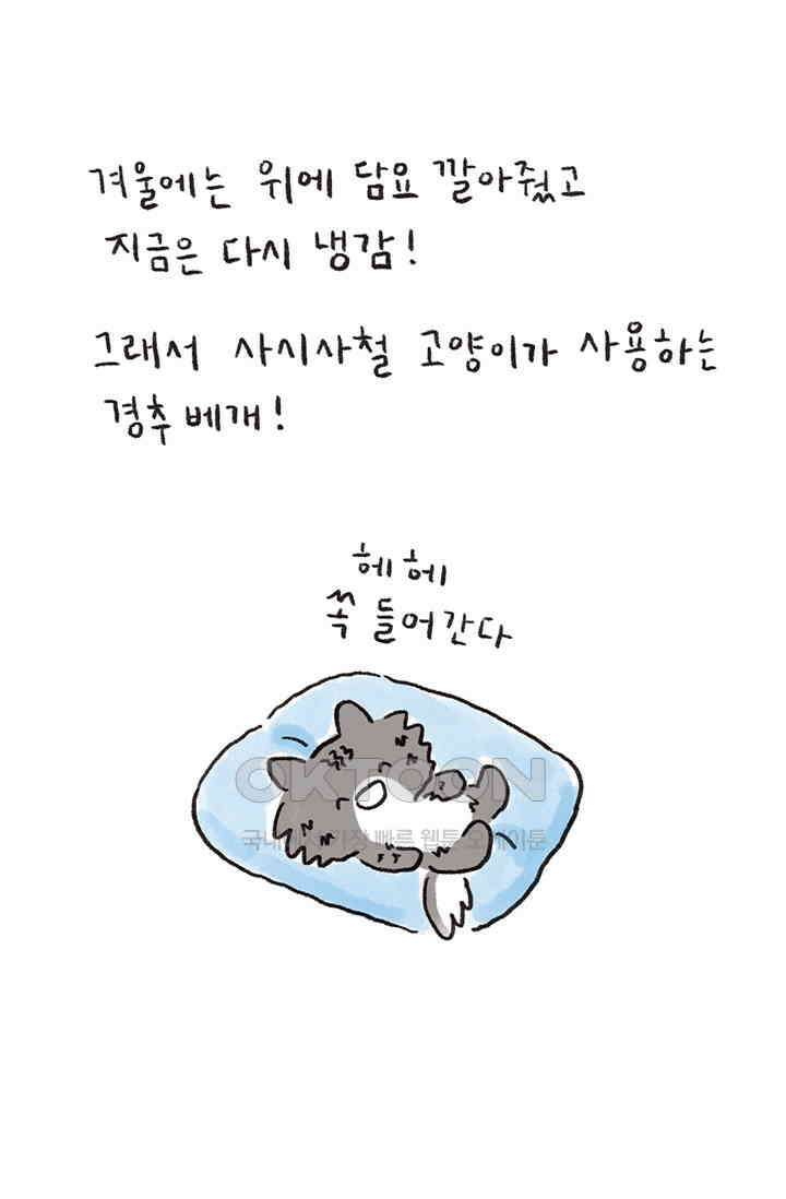 은동스+옹동스 은동스 231화． 경추베개의 비밀 7