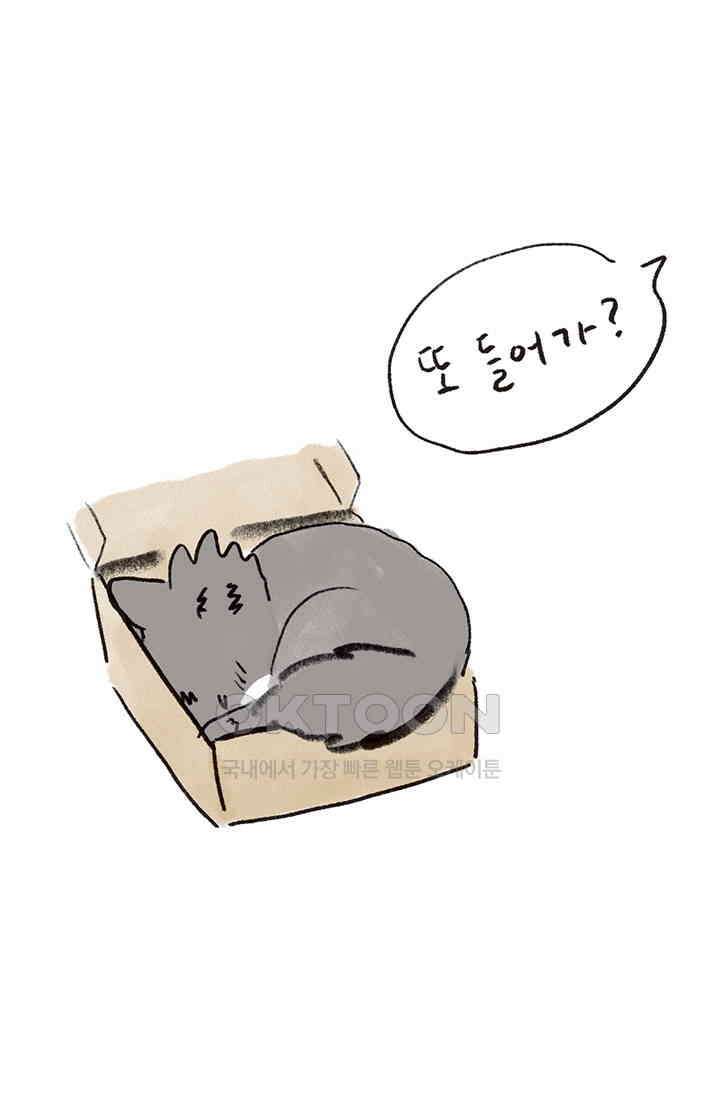 은동스+옹동스 은동스 254화． 매드 사이언티스트 10