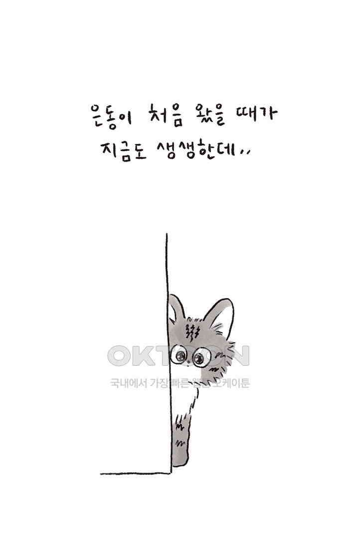은동스+옹동스 은동스 263화． 특별한 생일이란 4