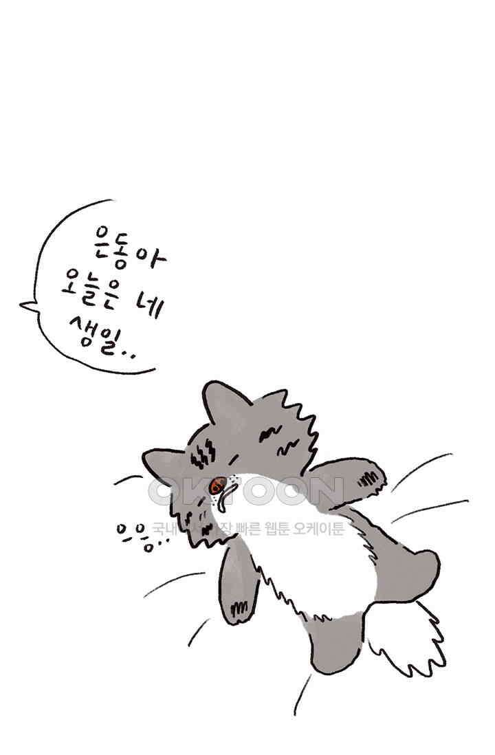 은동스+옹동스 은동스 263화． 특별한 생일이란 10