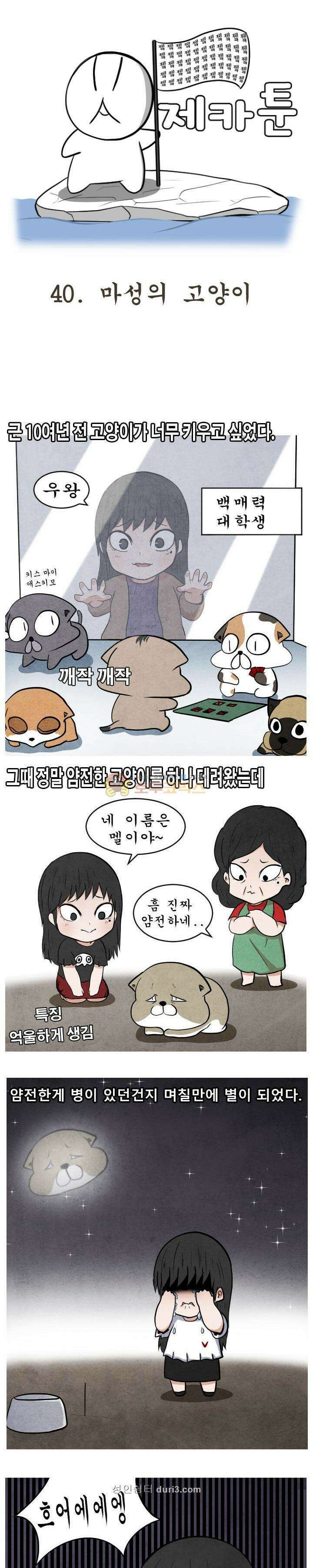 제카툰 40화 - 마성의 고양이 (상편) 1