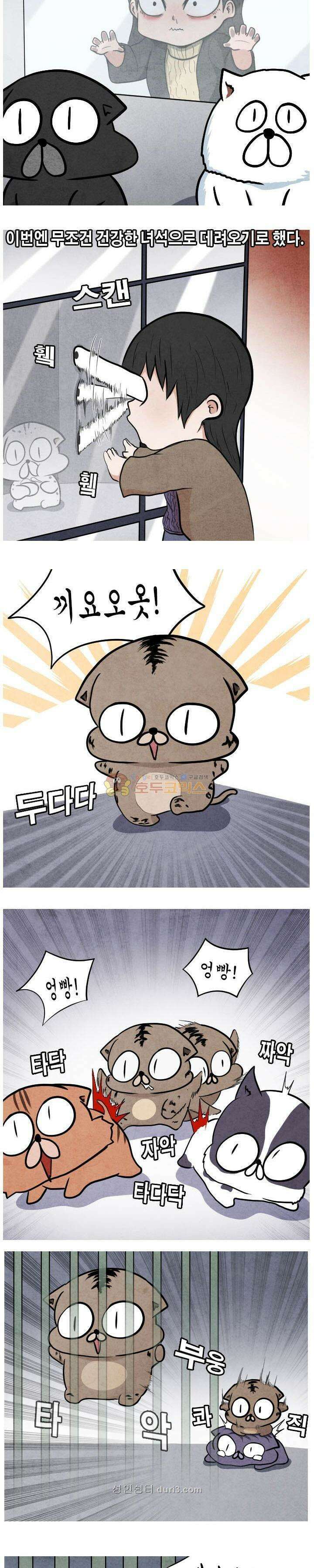 제카툰 40화 - 마성의 고양이 (상편) 3