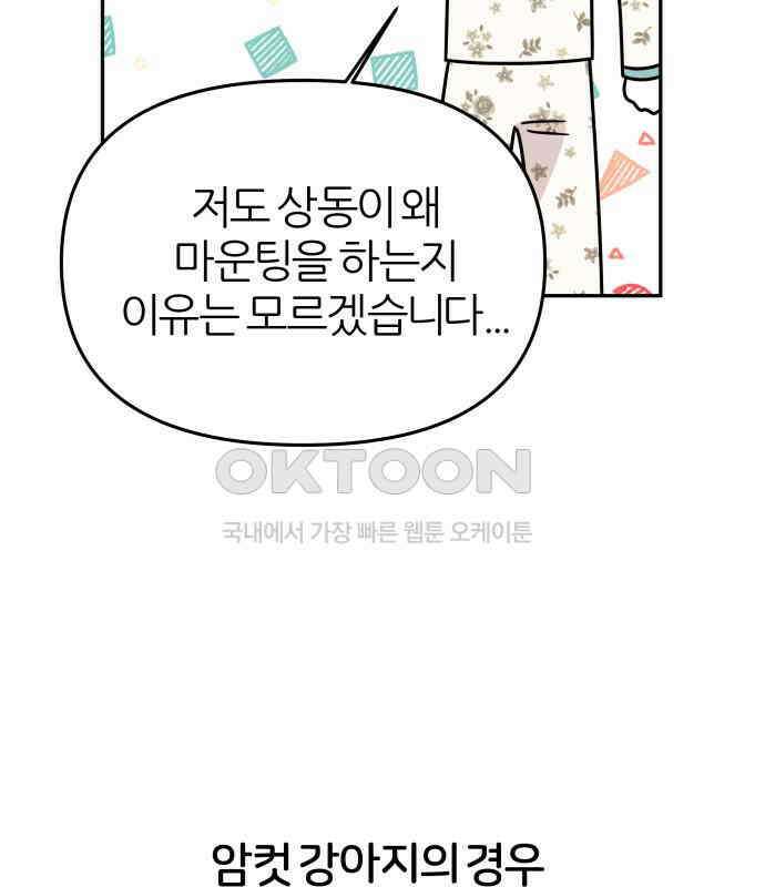 시바, 만만치 않다 16화 5