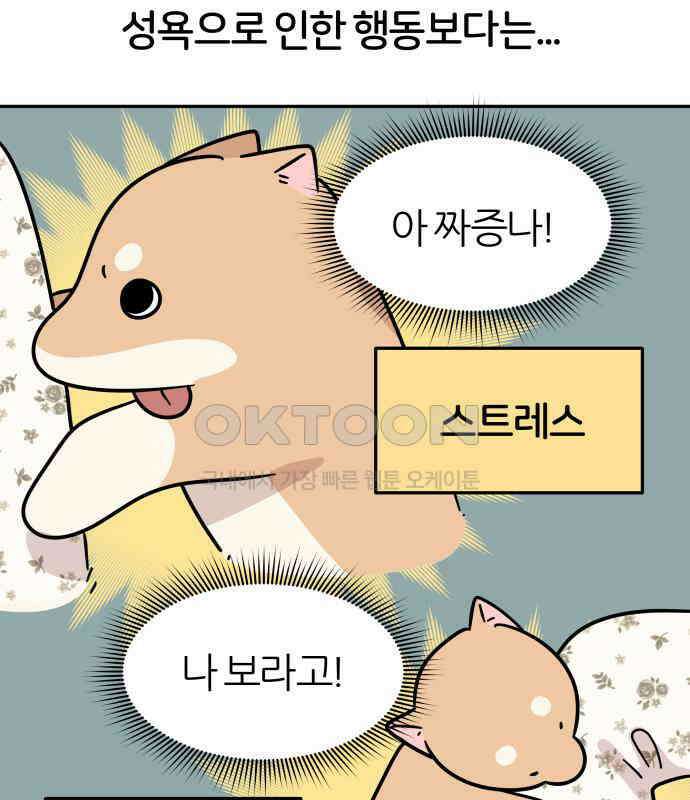 시바, 만만치 않다 16화 6