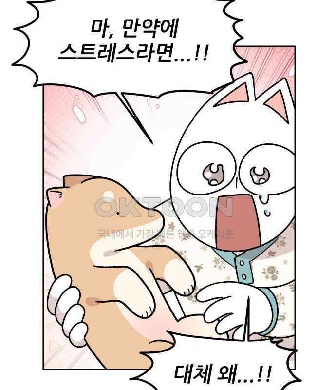 시바, 만만치 않다 16화 8