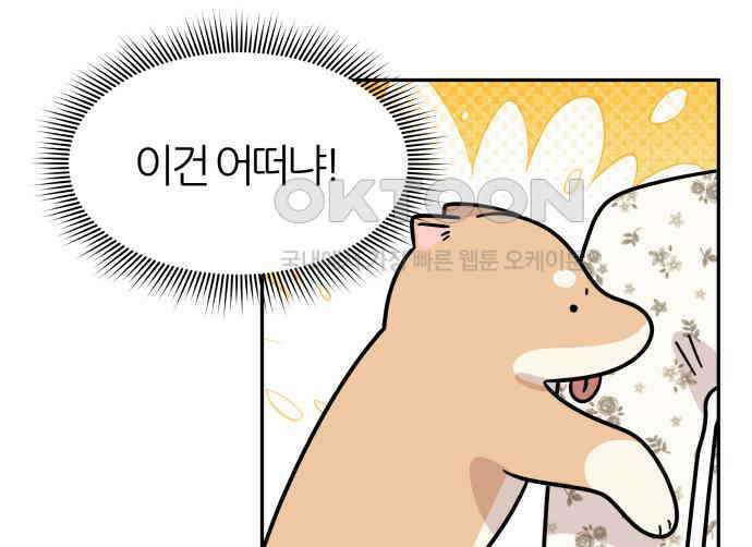 시바, 만만치 않다 16화 12