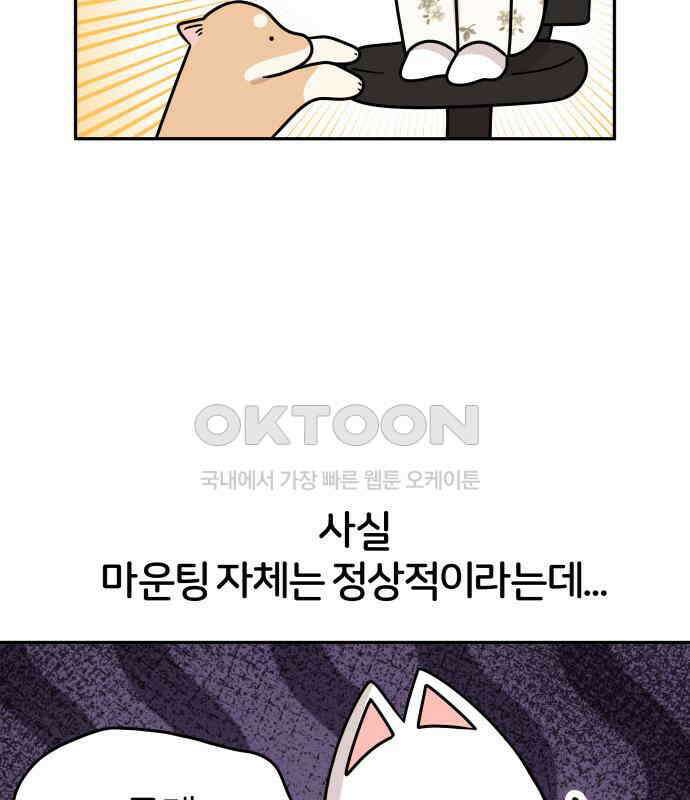 시바, 만만치 않다 16화 15