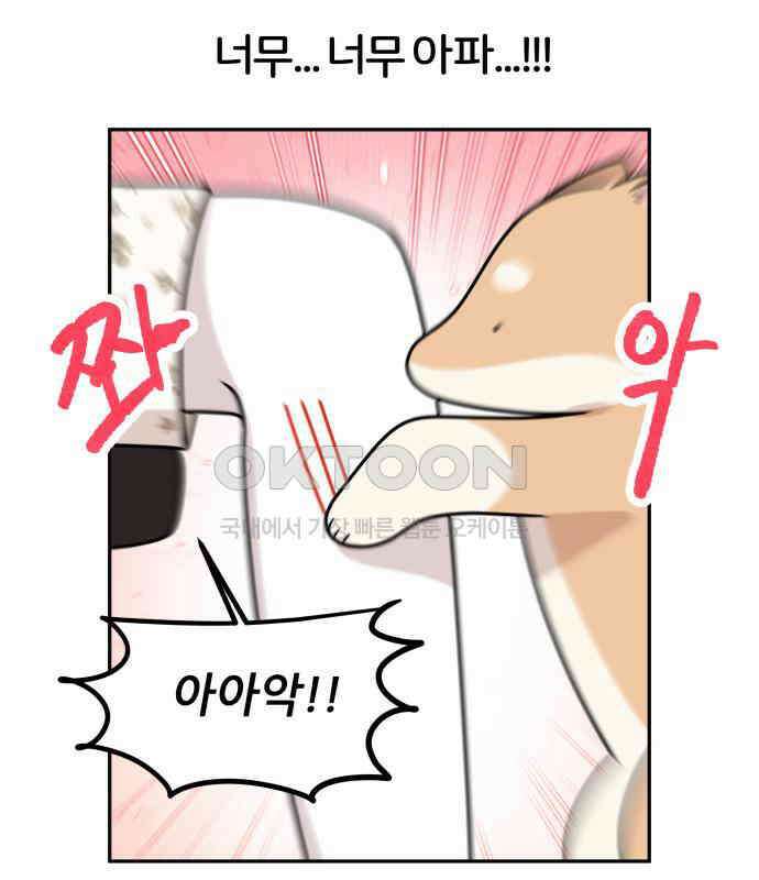 시바, 만만치 않다 16화 17