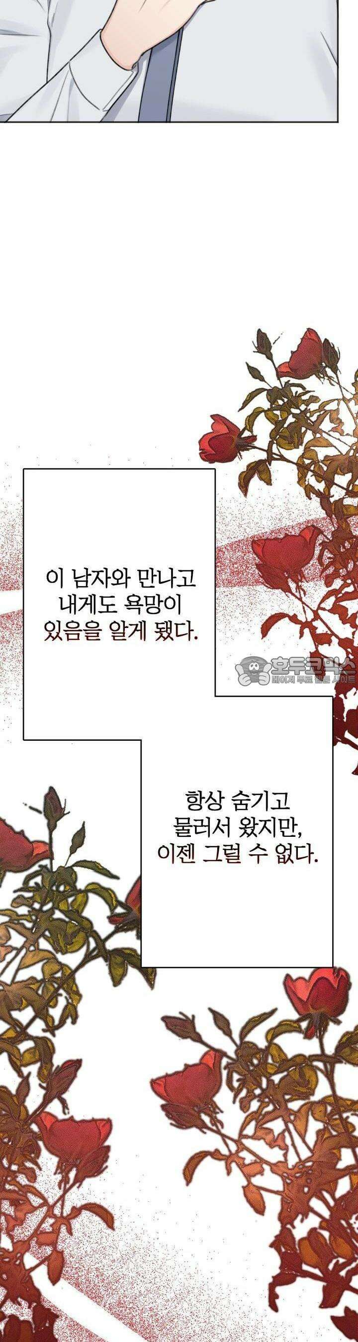 감아 14화 5