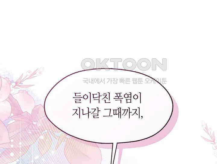 여보, 왜 당신이 후회해요? 28화 1