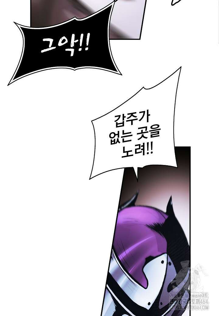 묵향 다크레이디 238화 8