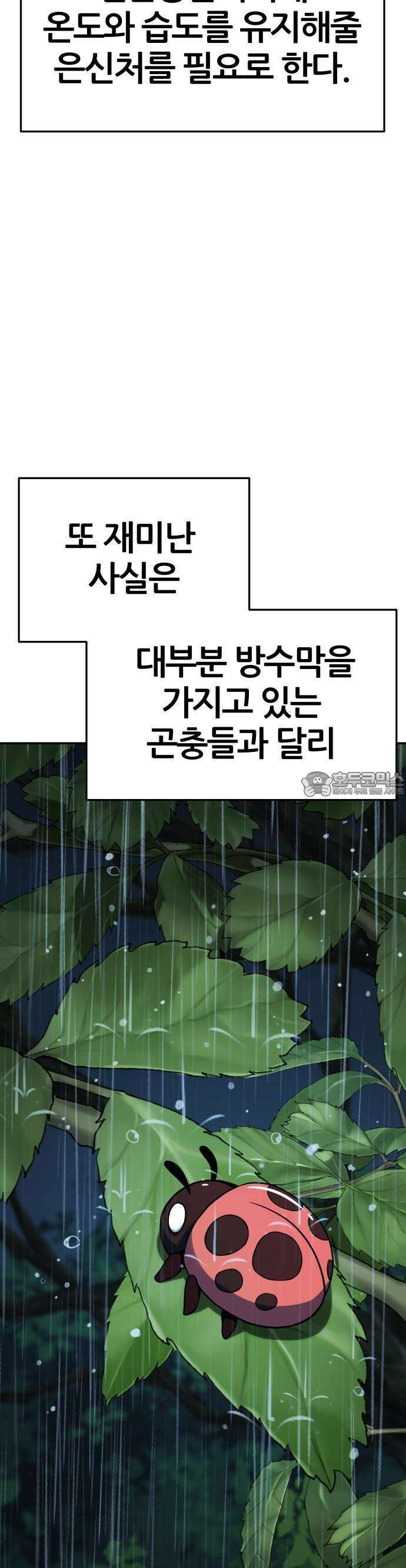 파브르 in 사천당가 2화 : 청반오공(2) 13