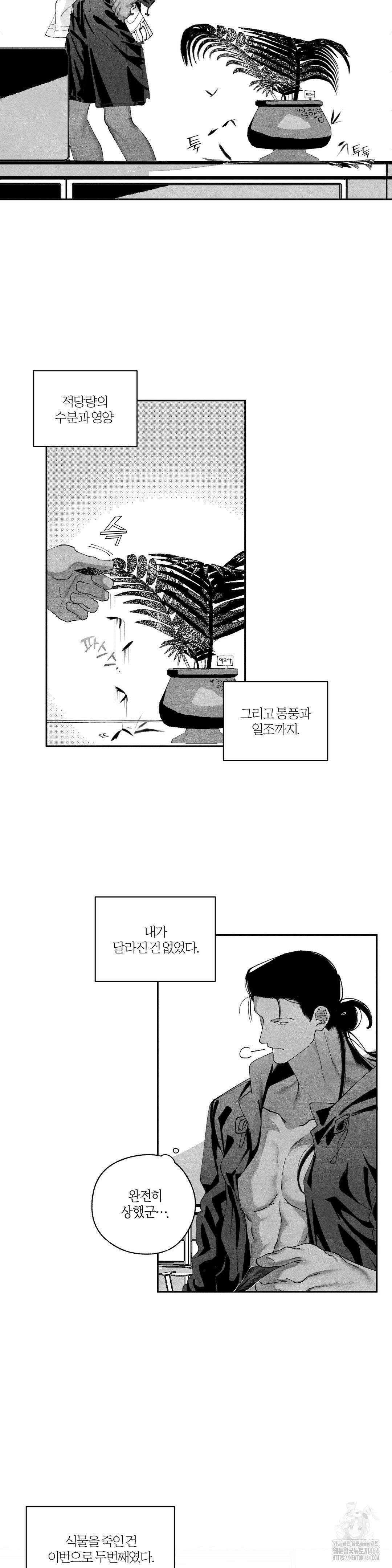 가장 완벽한 도형 25화 22