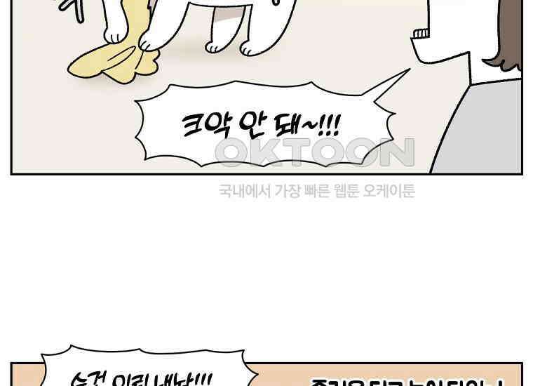 극한견주 시즌2 36화 개와 고양이의 신체 언어 5