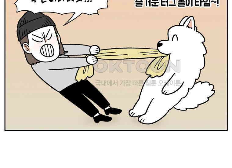 극한견주 시즌2 36화 개와 고양이의 신체 언어 6