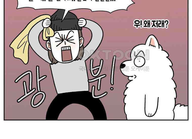 극한견주 시즌2 36화 개와 고양이의 신체 언어 10
