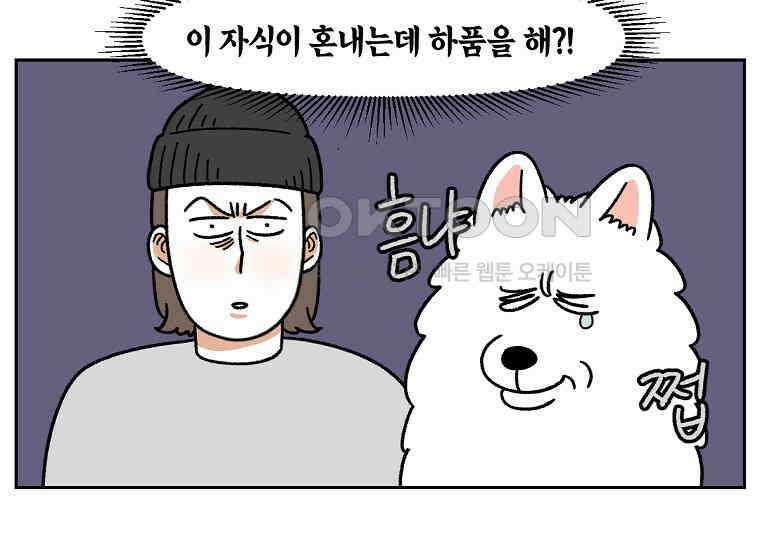 극한견주 시즌2 36화 개와 고양이의 신체 언어 13