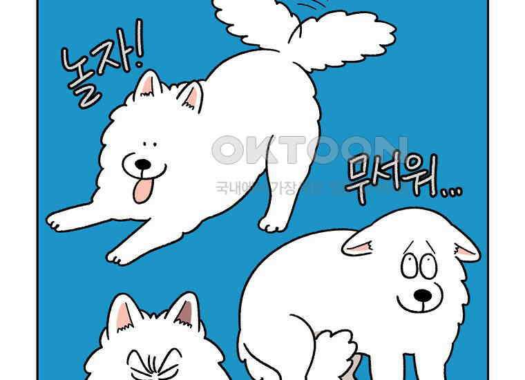 극한견주 시즌2 36화 개와 고양이의 신체 언어 21
