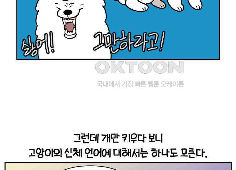극한견주 시즌2 36화 개와 고양이의 신체 언어 22