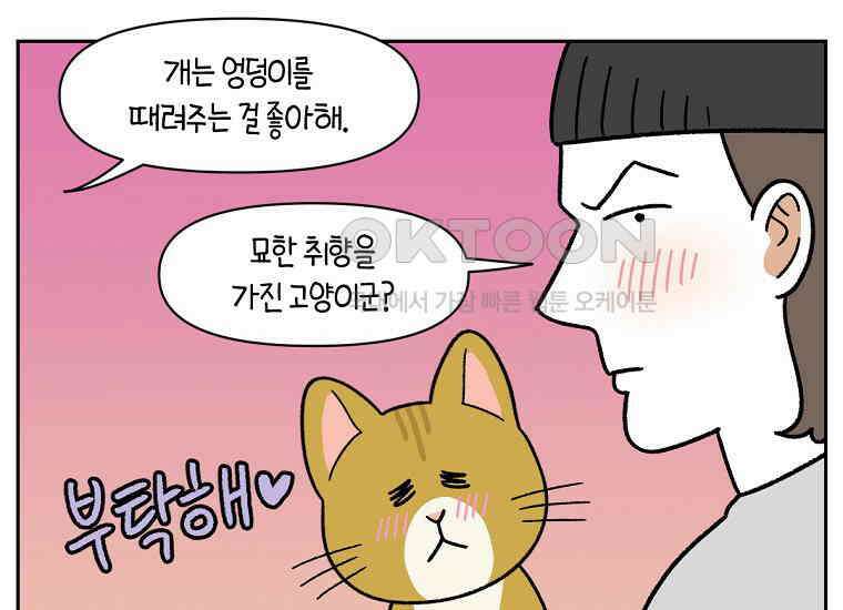 극한견주 시즌2 36화 개와 고양이의 신체 언어 26
