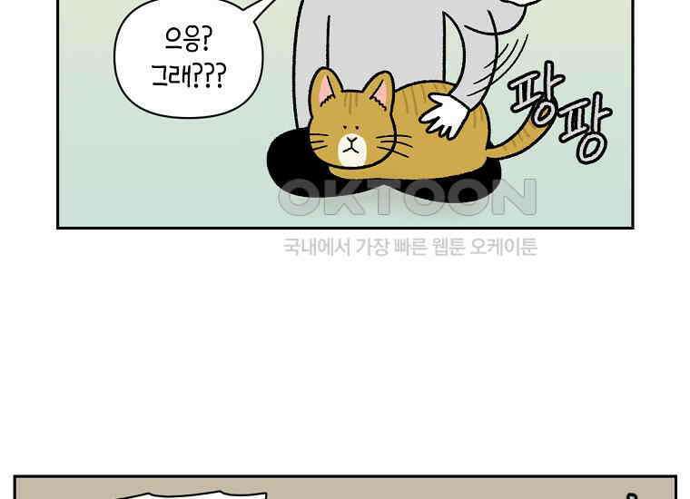 극한견주 시즌2 36화 개와 고양이의 신체 언어 28
