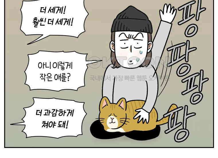 극한견주 시즌2 36화 개와 고양이의 신체 언어 29