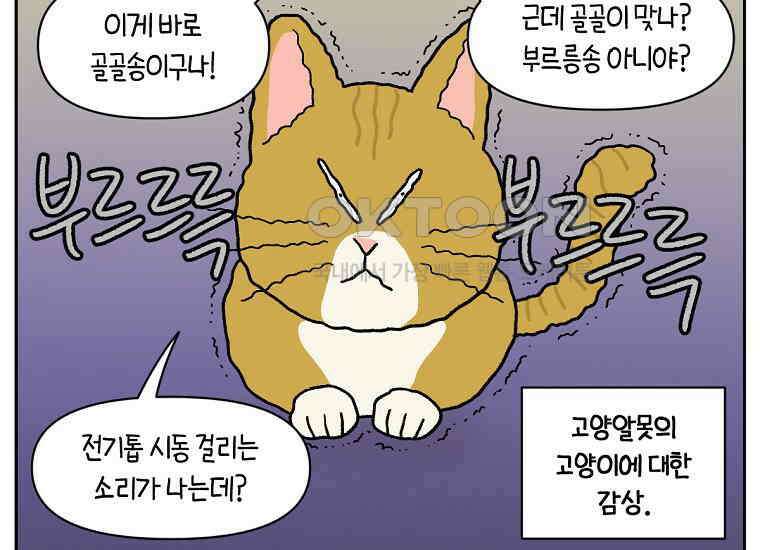 극한견주 시즌2 36화 개와 고양이의 신체 언어 32
