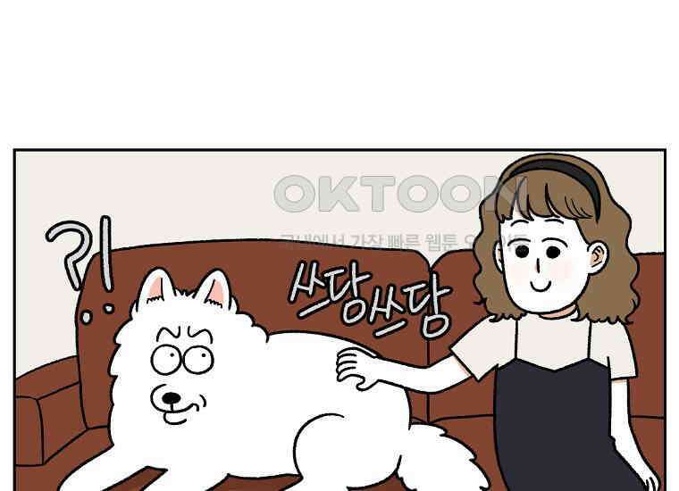 극한견주 시즌2 36화 개와 고양이의 신체 언어 35
