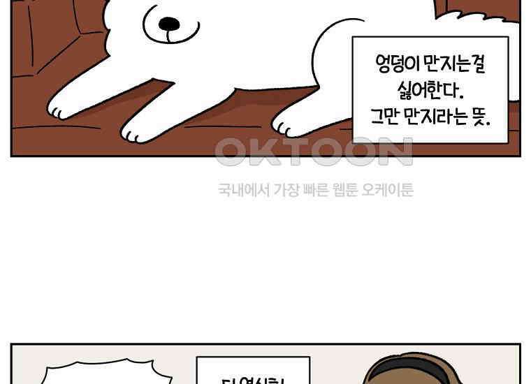 극한견주 시즌2 36화 개와 고양이의 신체 언어 37