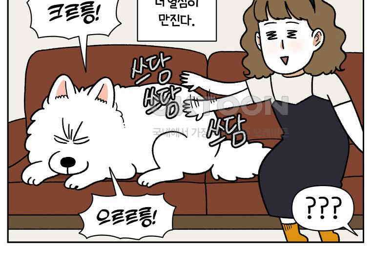 극한견주 시즌2 36화 개와 고양이의 신체 언어 38