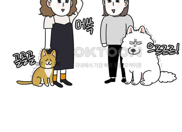 극한견주 시즌2 36화 개와 고양이의 신체 언어 41