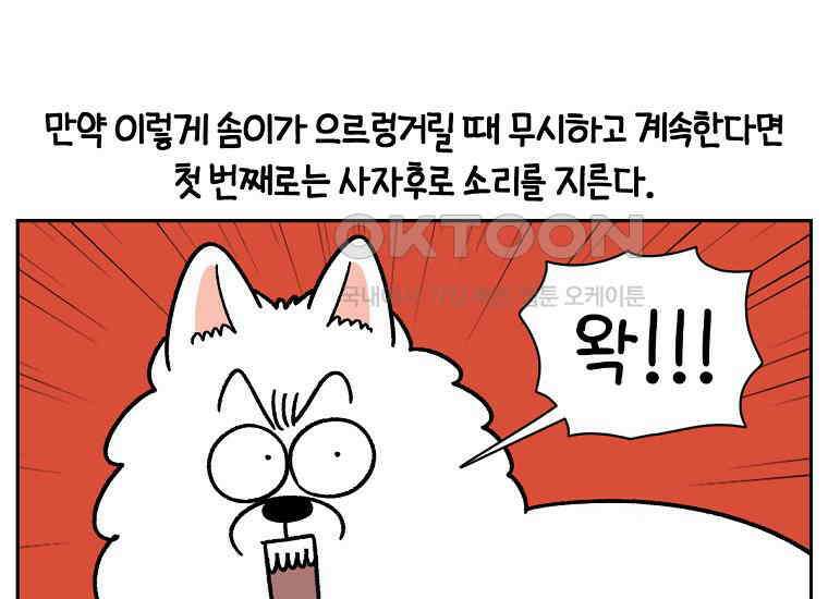 극한견주 시즌2 36화 개와 고양이의 신체 언어 42